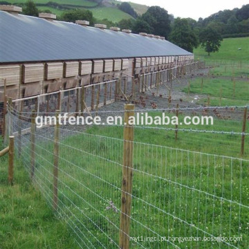 Cerca de campo galvanizado de alta qualidade e venda de gado quente